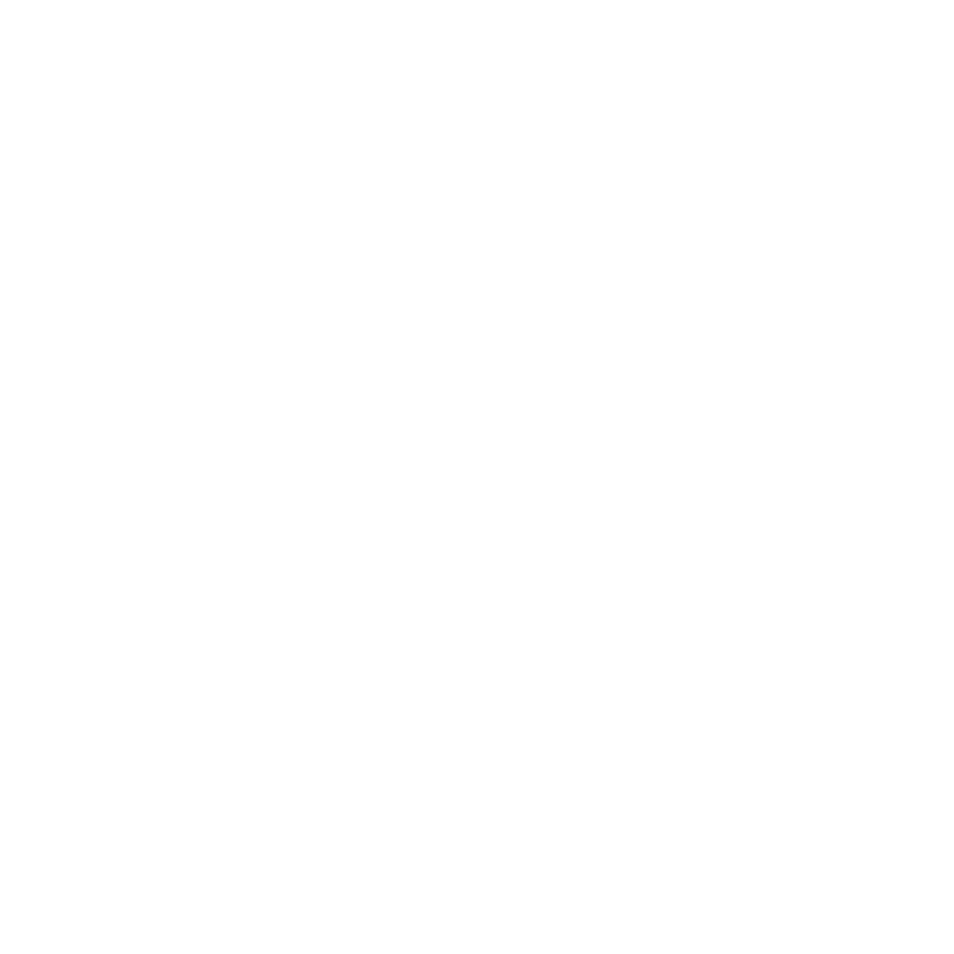 دکتر حمید شاهی مریدی